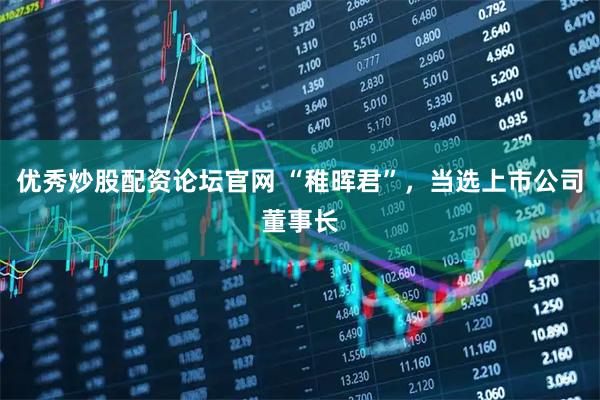 优秀炒股配资论坛官网 “稚晖君”,当选上市公司董事长